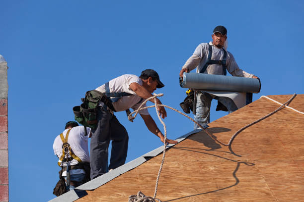 Best New Roof Installation  in Rosharon, TX